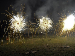 Königsball 2011