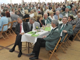 Festakt 2011