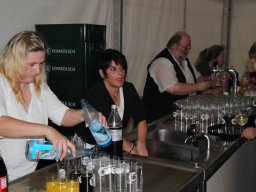 Schützenfest 2011